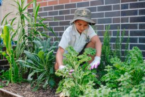 St Josephs Catholic Primary School, Rockdale Cocurricular Activities Gardening